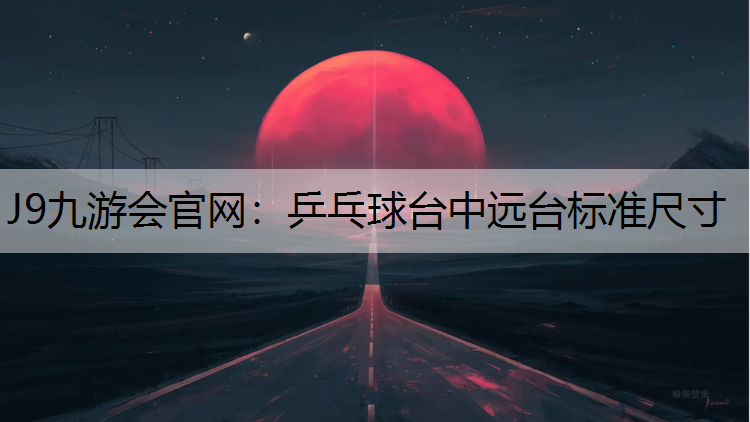 乒乓球台中远台标准尺寸